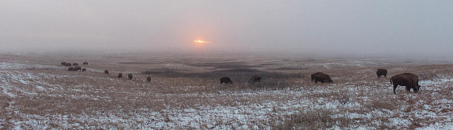 Winter Morning on the Prairie Photograph by David Drew