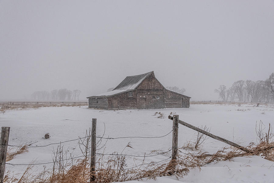 Winter Moulton Barn and Fence Photograph by Douglas Wielfaert