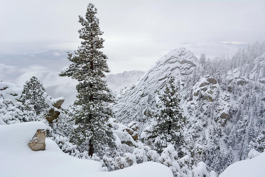 Winter Mount San Jacinto  Photograph by Kyle Hanson