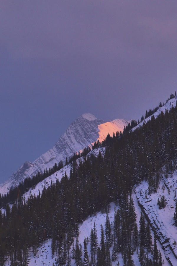 Winter Mountain Light - Banff Photograph by Stephen Vecchiotti