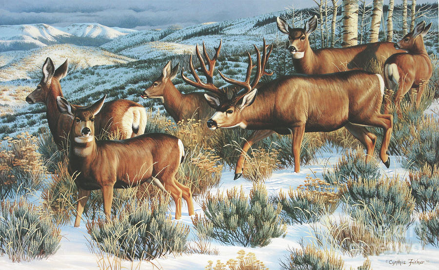 Winter Mule Deer Painting by Cynthie Fisher - Fine Art America