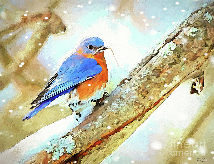 Bluebird Digital Art - Winter Nesting by Tina LeCour Bluebird Digital Art - Winter Nesting by Tina LeCour