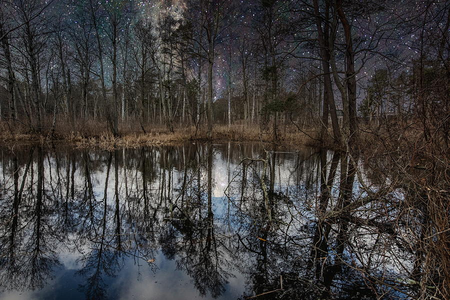 Winter Night And Its Dream Photograph by Aleksandrs Drozdovs