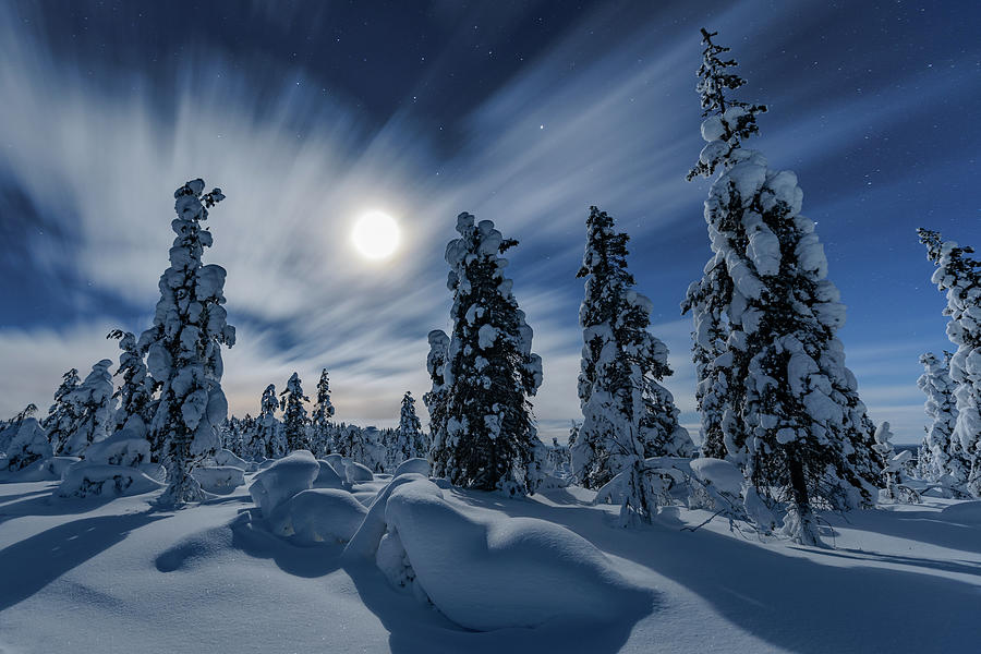Winter night moon Photograph by Thomas Kast
