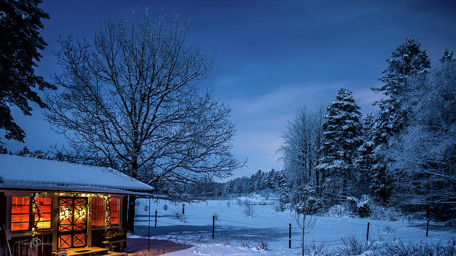 Winter night moonlight Photograph by Torbjorn Swenelius