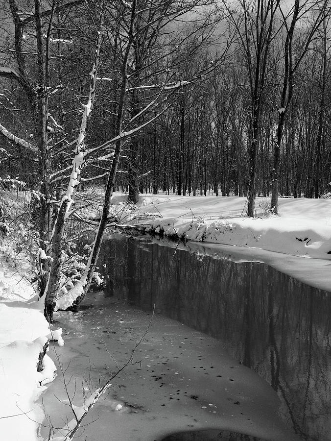 Winter Noon In Black And White Photograph