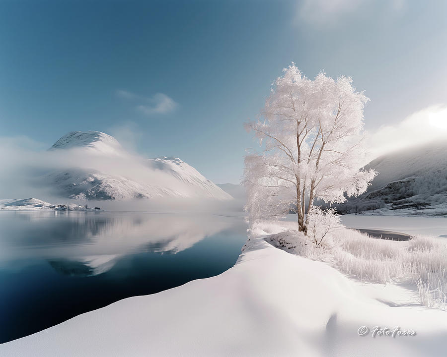 Winter on a Lake Photograph by Alexander Fedin