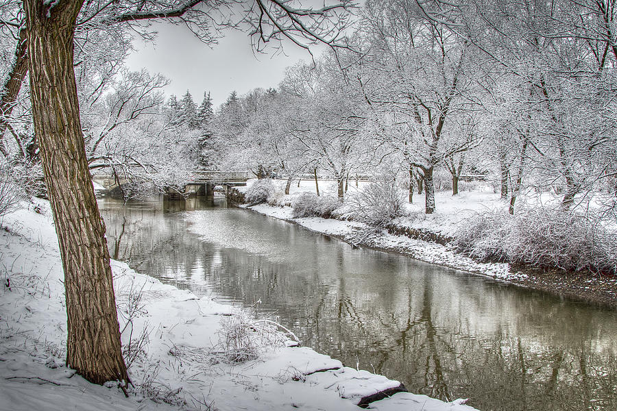 Winter on Avon River Photograph by Eden Watt Winter on Avon River Photograph by Eden Watt