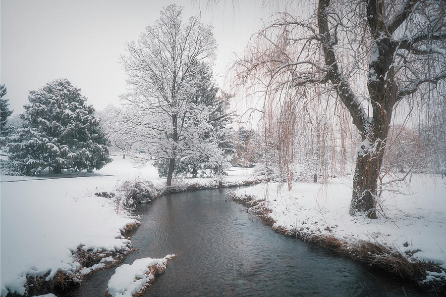 Winter on Cedar Creek Photograph by Jason Fink
