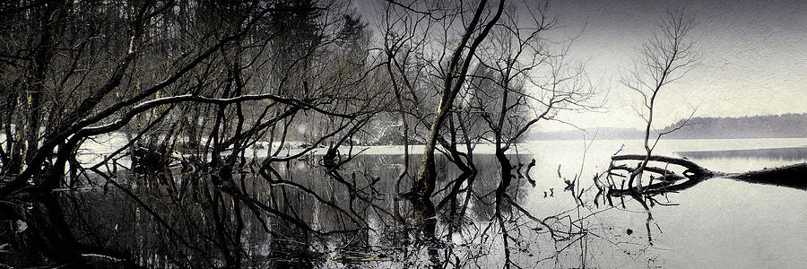Winter on Loch Raven Reservoir  Photograph by Reynaldo Williams