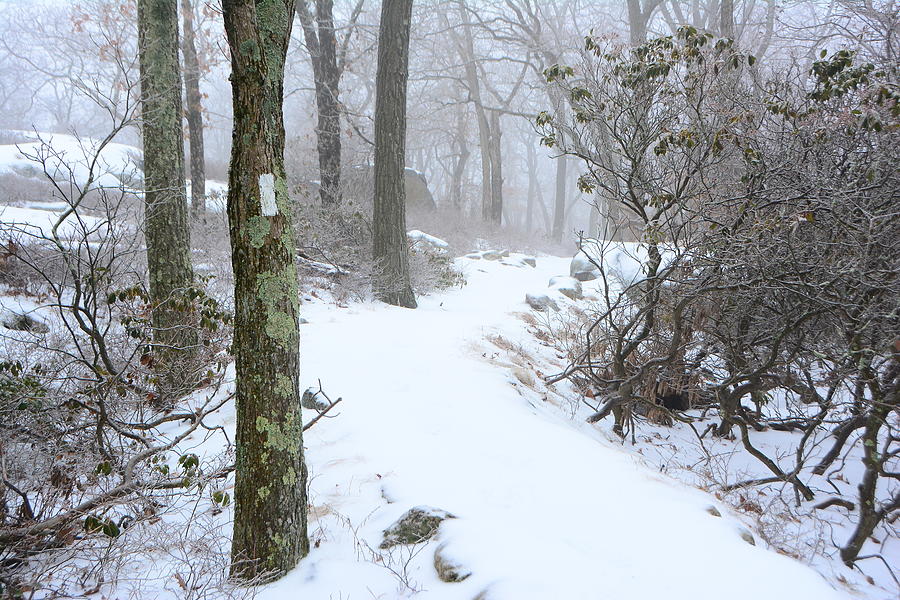 Winter on The Appalachian Trail Bear Mountain Section Photograph by Raymond Salani III