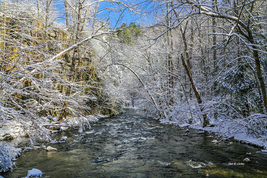 Winter on the Creek Photograph by Dale R Carlson