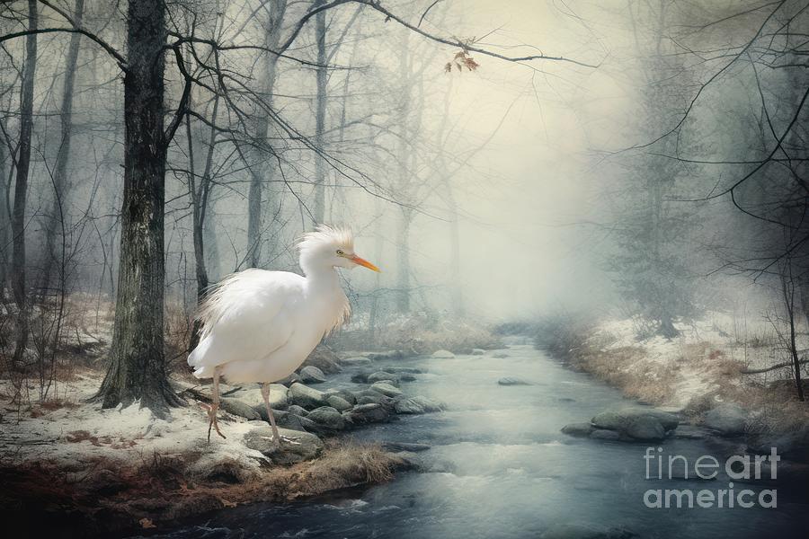Winter on the Creek Photograph by Eva Lechner