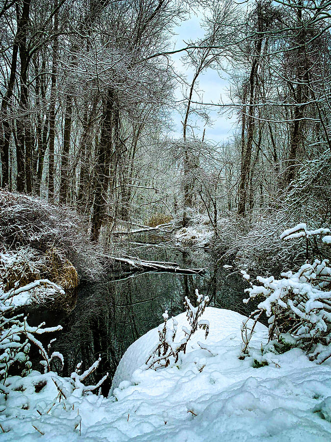 Winter on the creek Photograph by Jim Feldman