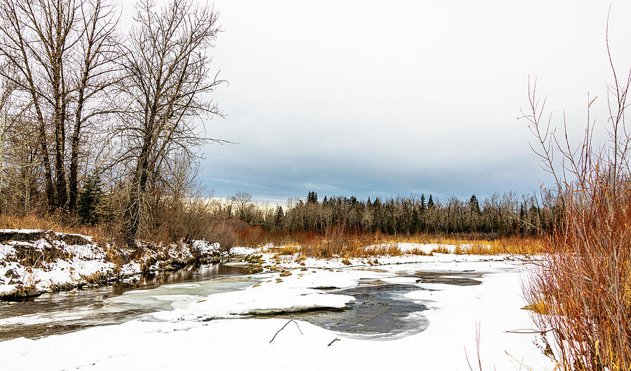 Winter Photograph - Winter on the Elbow River by Phil And Karen Rispin