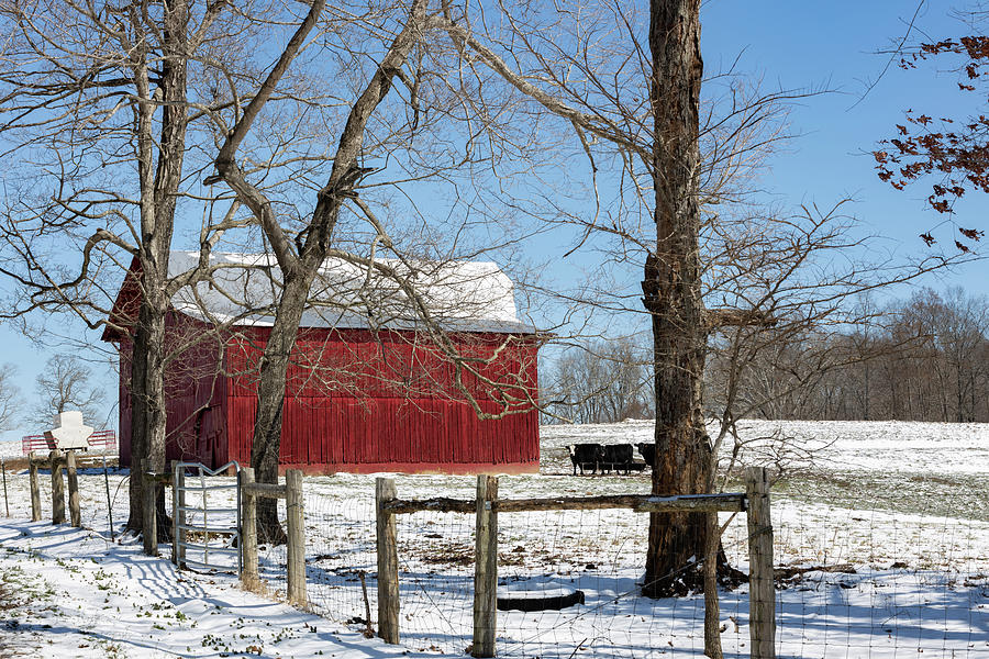 Winter on the Farm Photograph by Debbie Karnes