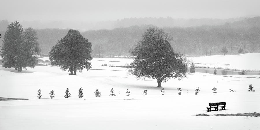Winter on the Golf Course Photograph by Betty Denise