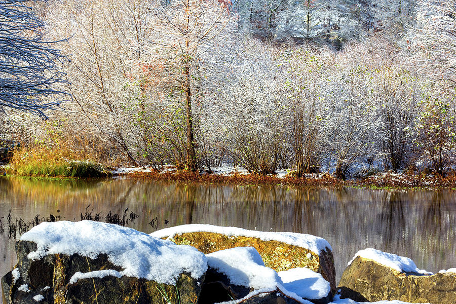 Winter on the Lake Photograph by Randy Bayne