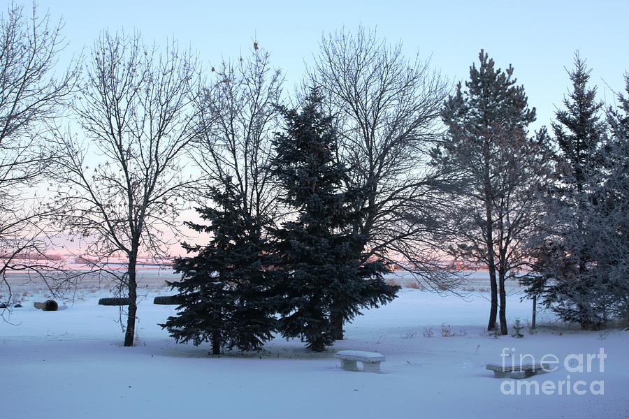 Winter On The Prairie Photograph