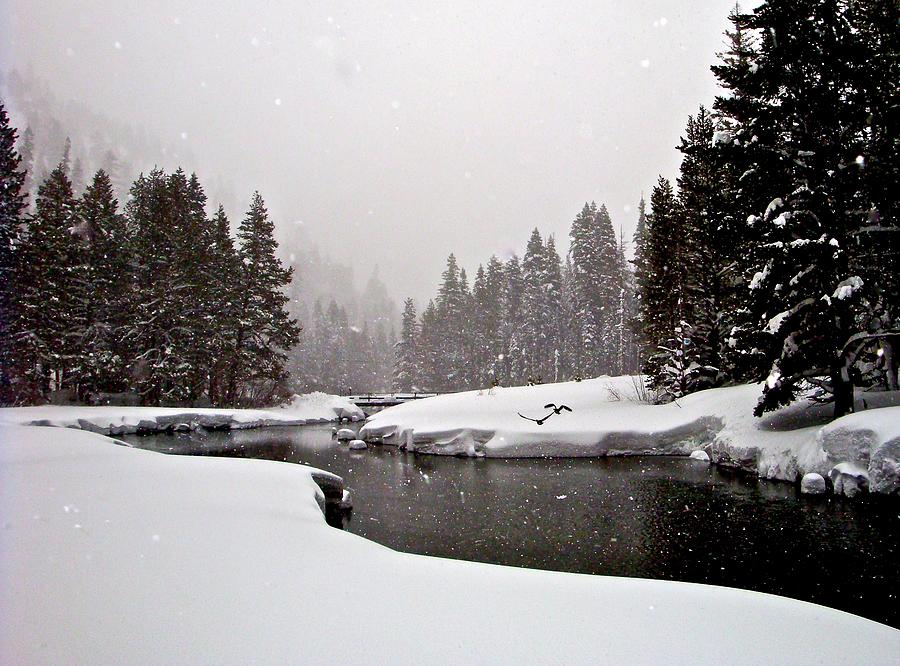 Winter on the River Photograph by Geoff McGilvray