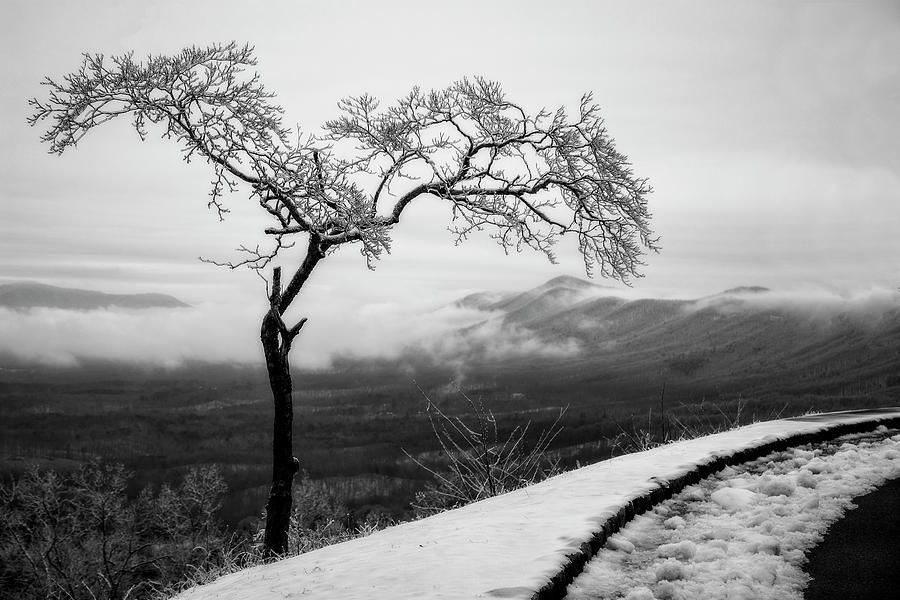 Winter Overlook Photograph by Alan Raasch