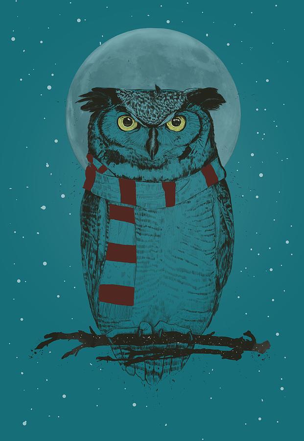 Owl Drawing - Winter owl II by Balazs Solti