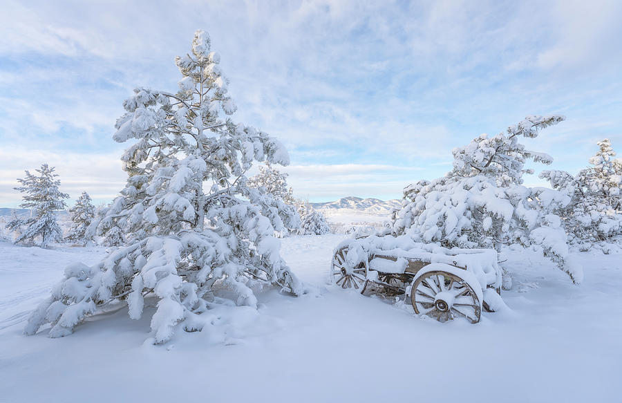 Winter Parking Photograph by Darren White