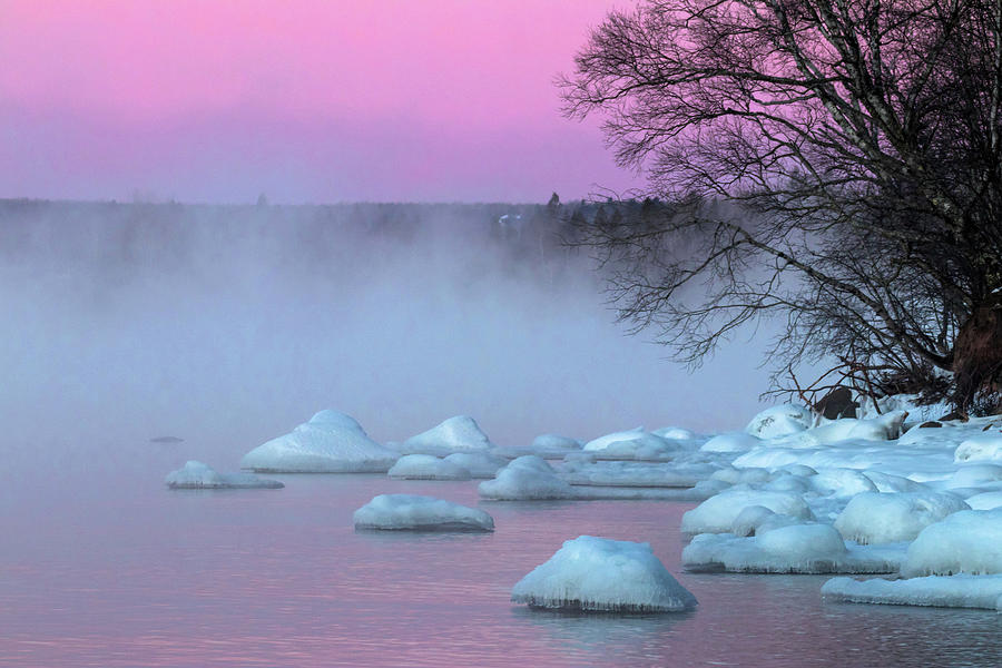 Winter Pastels Photograph by Mary Amerman