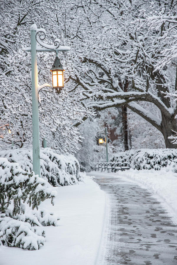 Winter path at MSU  Photograph by John McGraw