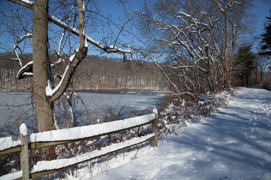 Winter Path Photograph by Karol Livote