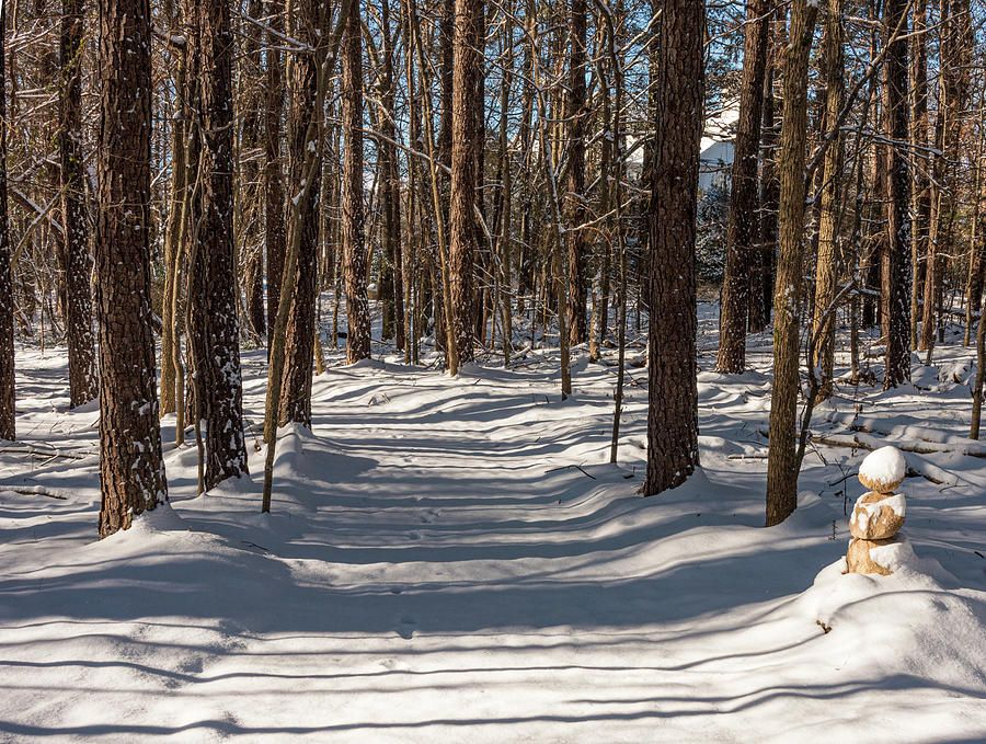 Winter Path Photograph by Minnie Gallman