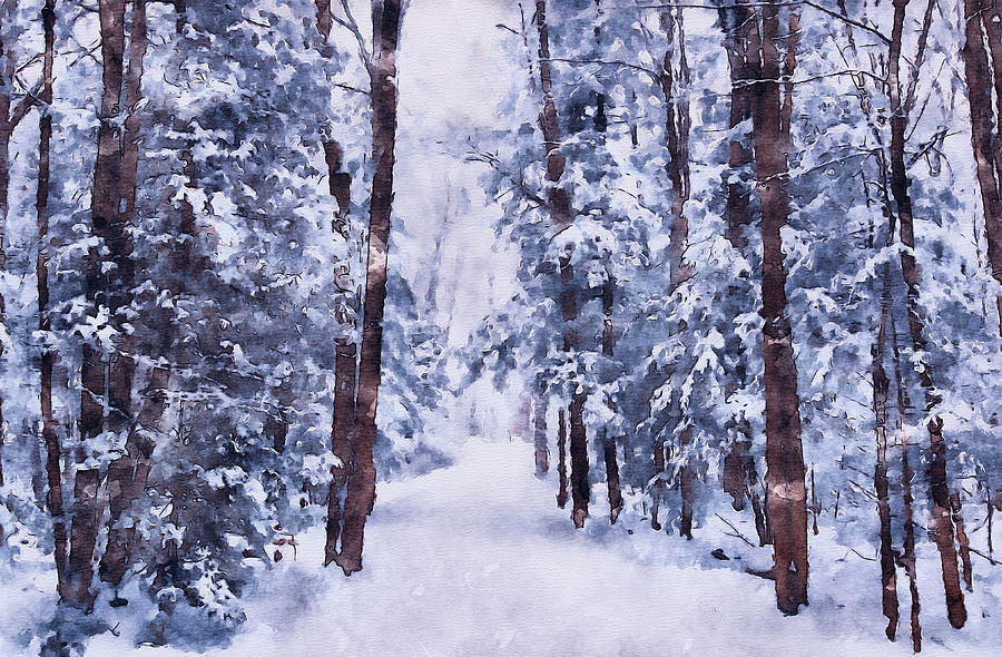 Winter Pathway - Watercolor Photograph by Maria Angelica Maira