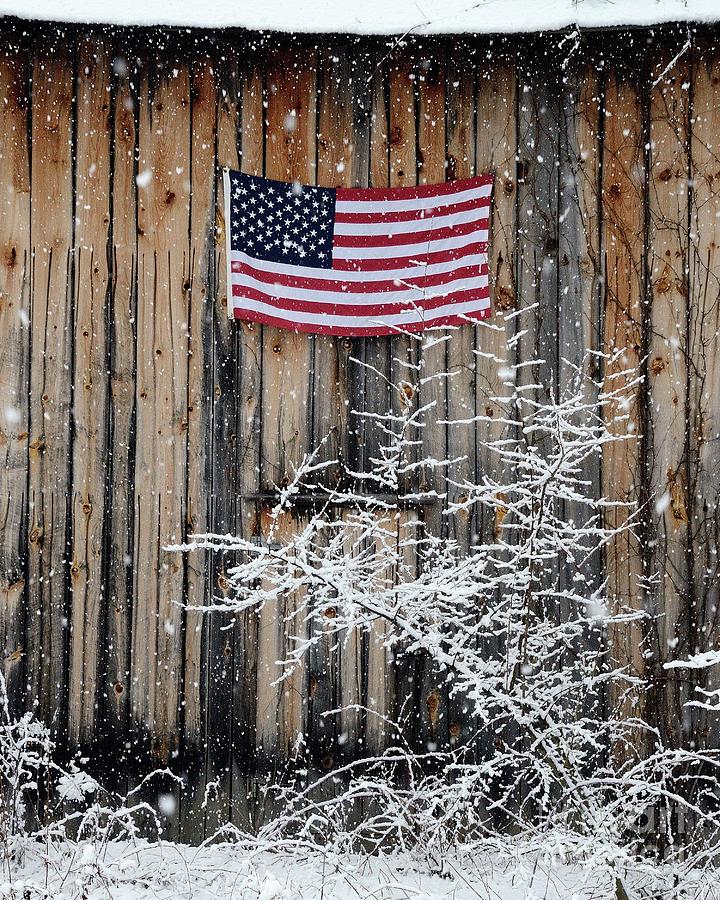 Winter Patriot Photograph by Robert Buderman
