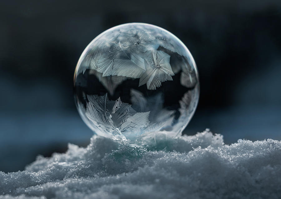 Winter Patterns Photograph by Jaroslaw Blaminsky