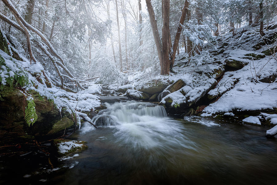 Waterfall Photograph - Winter Peace by Bill Wakeley