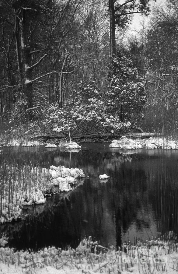 Winter Peace Photograph