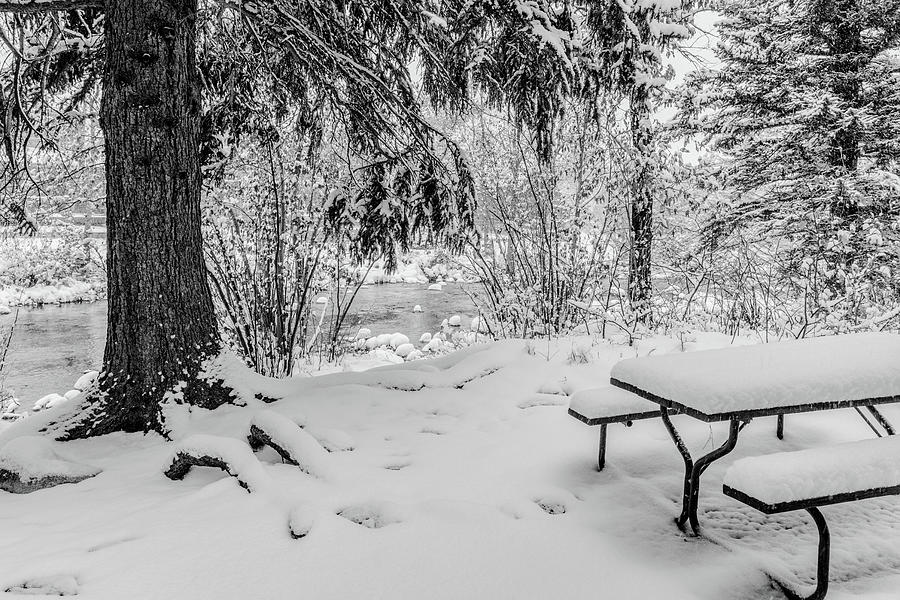 Picnic Table in Snow Photograph by Tom Potter