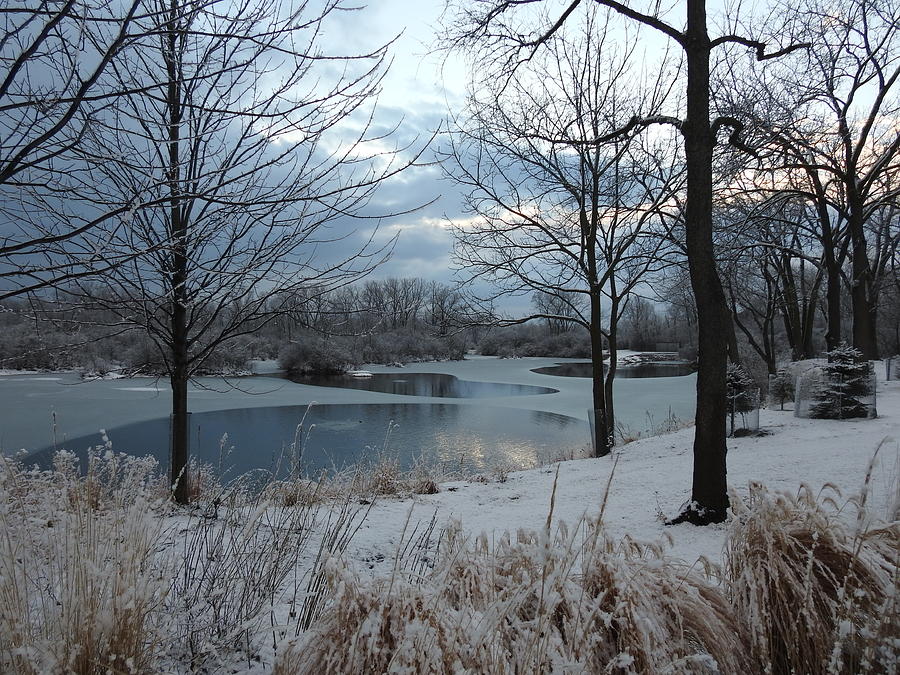 Winter Ponds Photograph by Barbara Ebeling