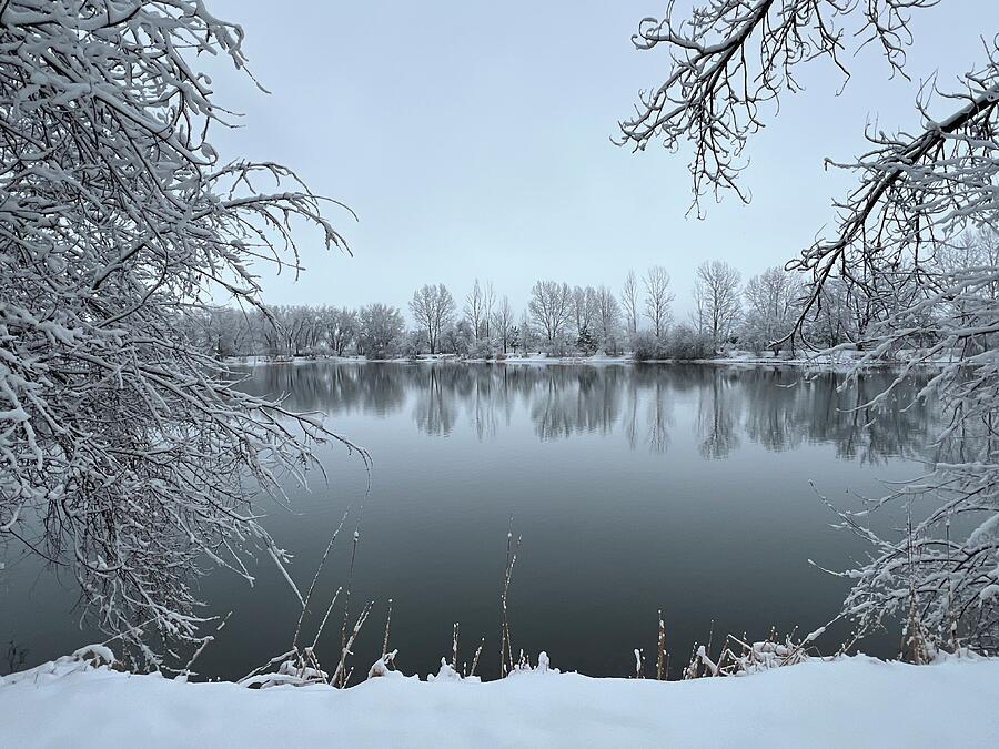 Winter Pond Photograph by Christy Pooschke