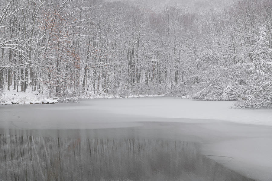 Winter Pond Coloratura Photograph by Angelo Marcialis