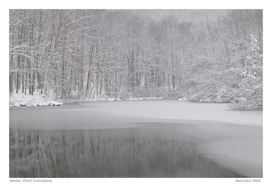 Winter Pond Coloratura The Signature Series Photograph by Angelo Marcialis