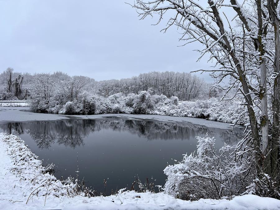 Winter Pond Photograph by Keri LaGrave Winter Pond Photograph by Keri LaGrave