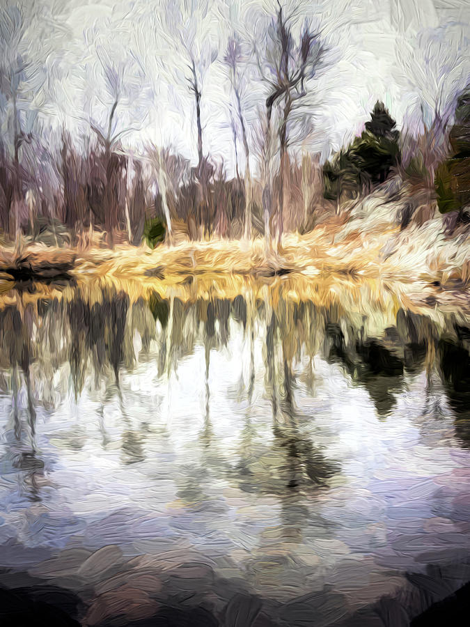 Winter Pond Reflection Photograph