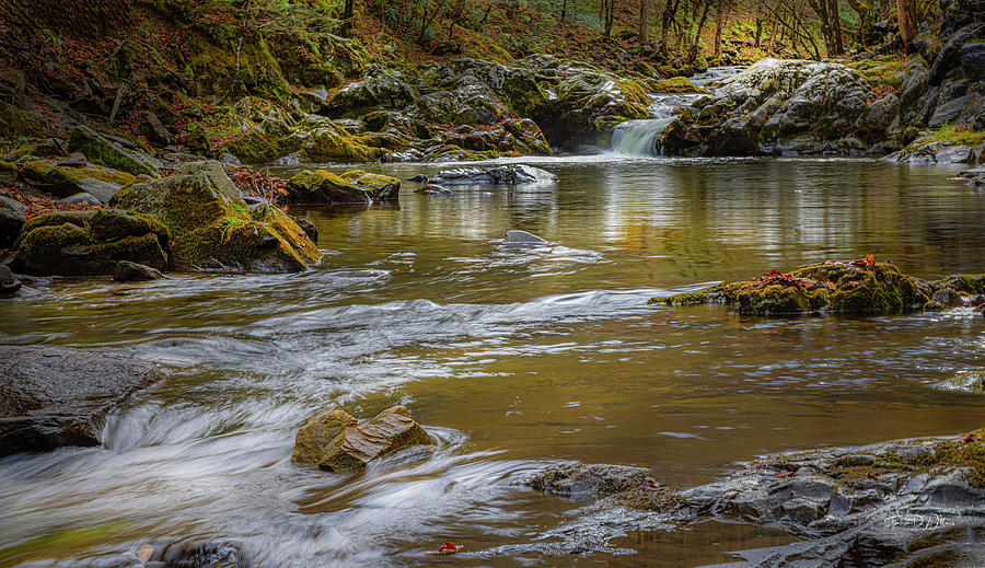 Winter Pools in the Smoky Mountains Photograph by Theresa D Williams