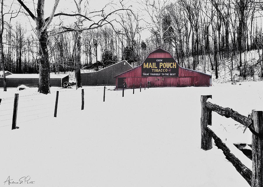Winter Pouch Photograph by Andrea Platt