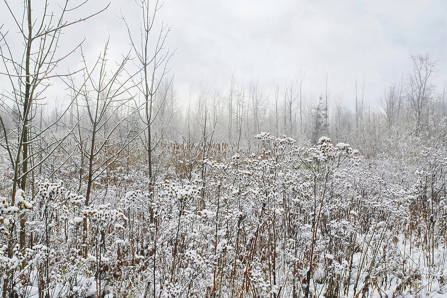 Winter Prairie Wau-Ke-Nau Photograph by Kathi Mirto