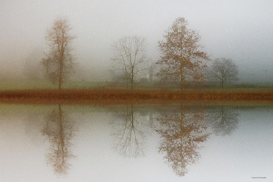 Tree Photograph - Winter Prelude by Ron Jones