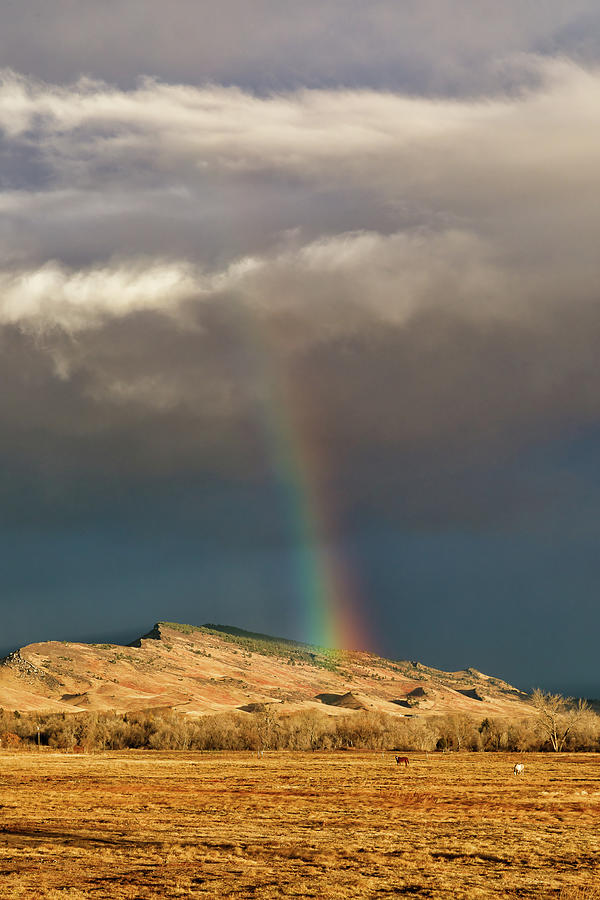Winter Rainbow in the Colorado Foothills Photograph by Tony Hake