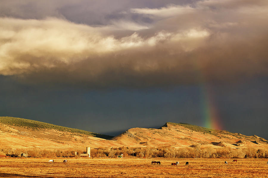 Winter Rainbow Over A Colorado Farm Photograph