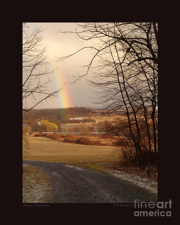 Winter Rainbow Photograph by Patricia Overmoyer